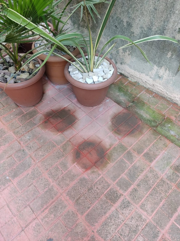 WhatsApp Image 2026-04-11 at 21.48.30.jpeg