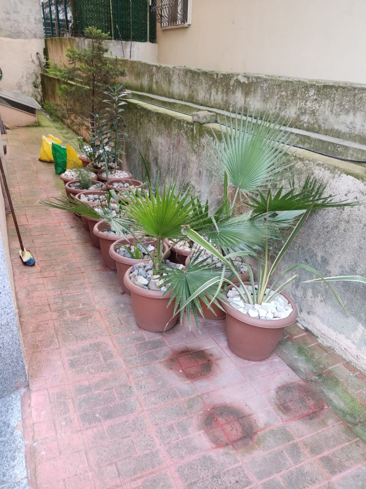 WhatsApp Image 2026-04-11 at 21.48.33.jpeg