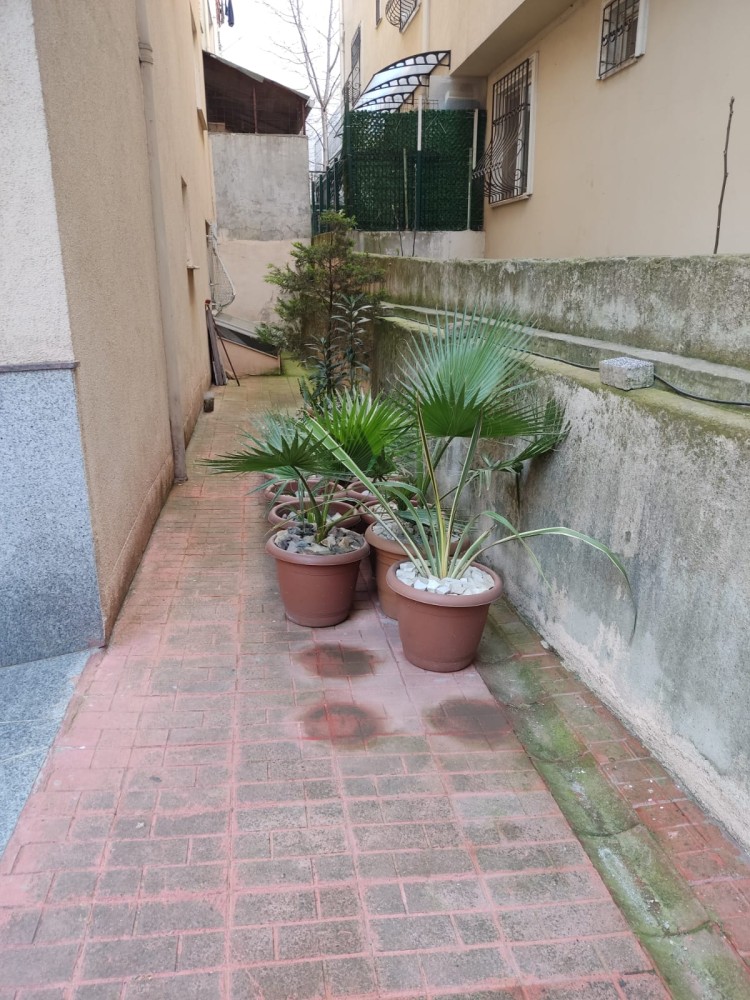 WhatsApp Image 2026-04-11 at 21.48.29.jpeg