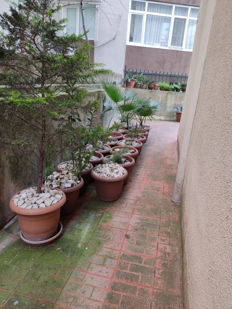 WhatsApp Image 2026-04-11 at 21.48.30 (1).jpeg