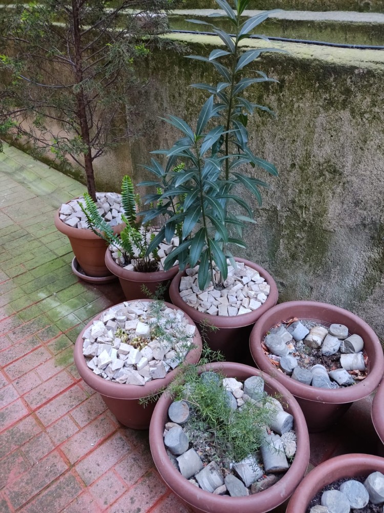 WhatsApp Image 2026-04-11 at 21.48.27.jpeg