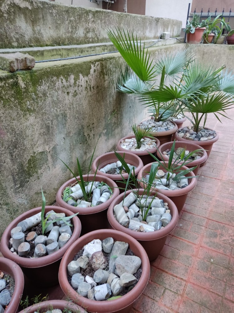 WhatsApp Image 2026-04-11 at 21.48.26 (2).jpeg