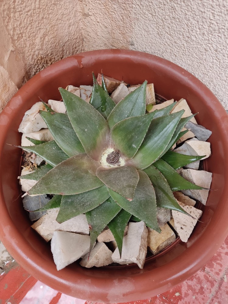 WhatsApp Image 2026-04-12 at 17.30.57.jpeg