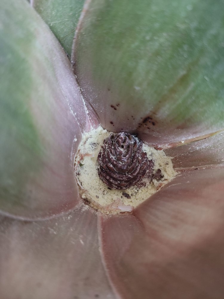 WhatsApp Image 2026-04-12 at 17.30.57 (1).jpeg