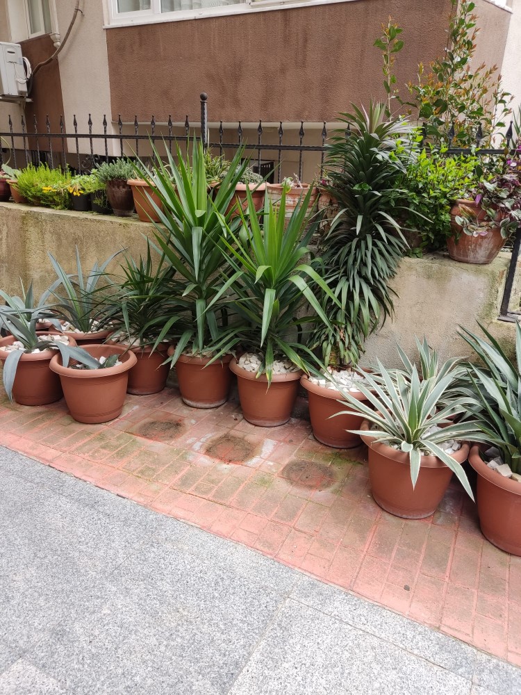 WhatsApp Image 2026-04-12 at 17.30.56 (4).jpeg