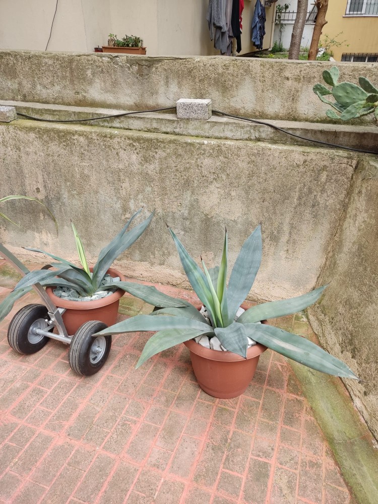 WhatsApp Image 2026-04-12 at 17.30.57 (2).jpeg