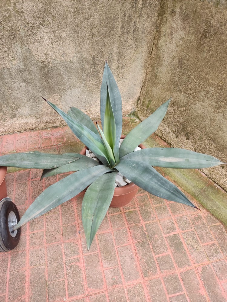 WhatsApp Image 2026-04-12 at 17.30.56 (3).jpeg