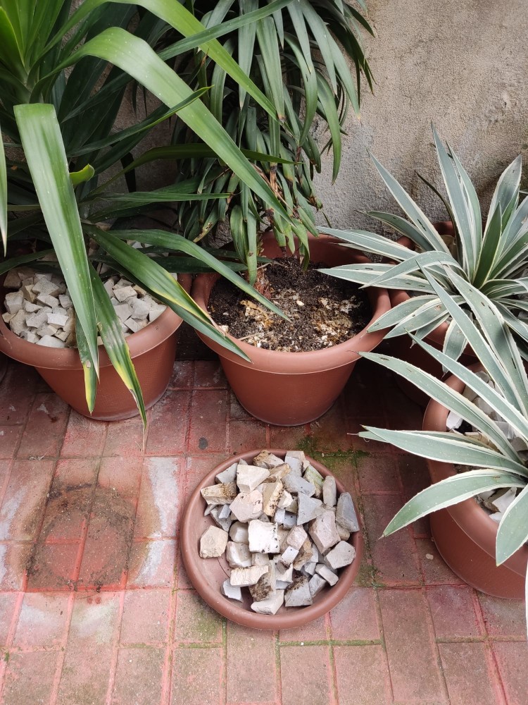 WhatsApp Image 2026-04-12 at 17.30.56 (2).jpeg