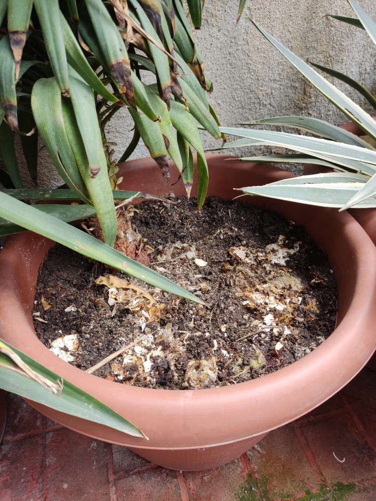 WhatsApp Image 2026-04-12 at 17.30.56 (1).jpeg