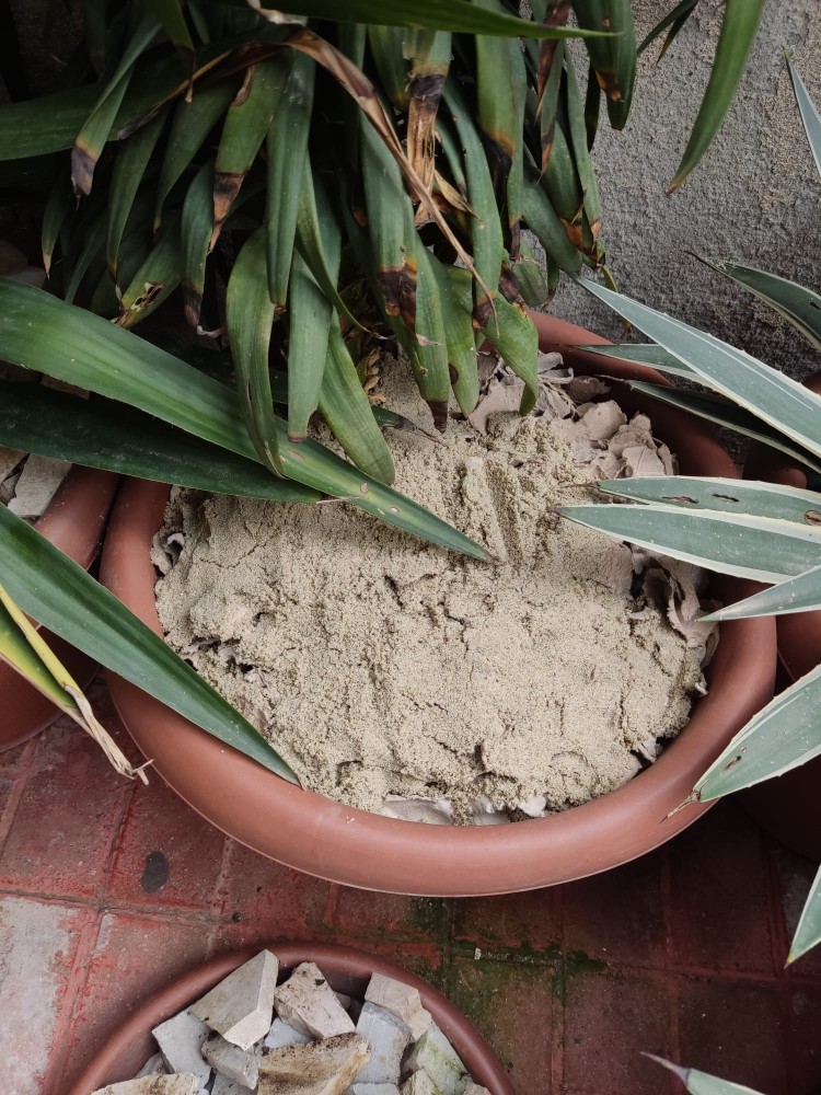 WhatsApp Image 2026-04-12 at 17.30.56.jpeg