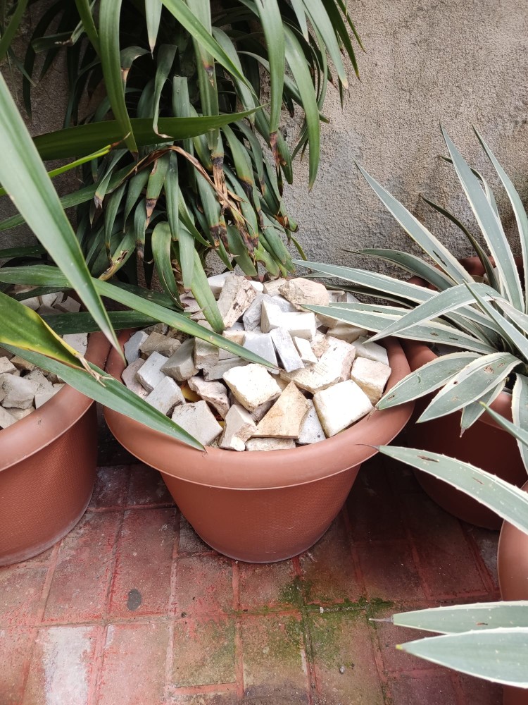 WhatsApp Image 2026-04-12 at 17.30.55 (1).jpeg