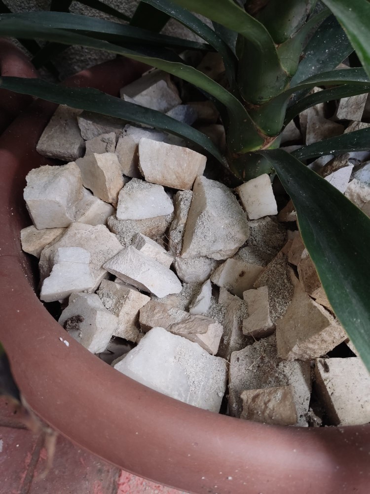 WhatsApp Image 2026-04-12 at 17.30.55.jpeg