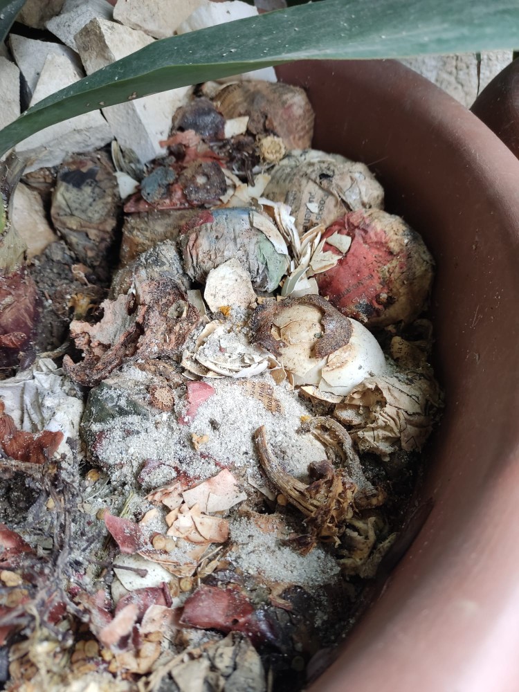 WhatsApp Image 2026-04-12 at 17.30.53.jpeg