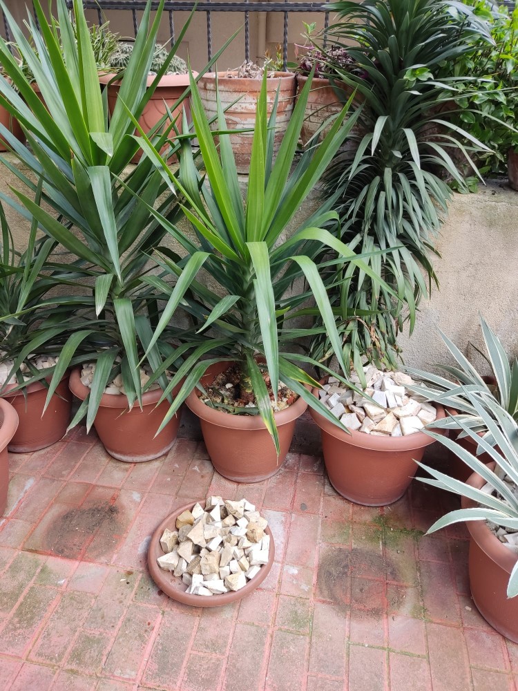 WhatsApp Image 2026-04-12 at 17.30.52 (2).jpeg