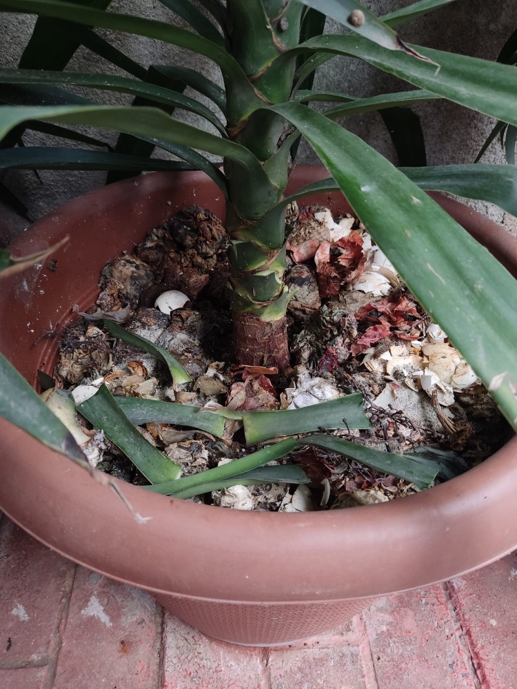 WhatsApp Image 2026-04-12 at 17.30.52 (3).jpeg