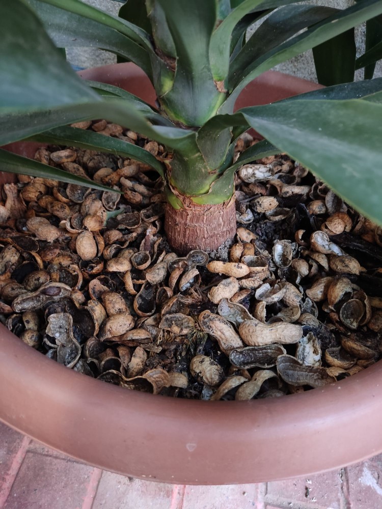 WhatsApp Image 2026-04-12 at 17.30.50 (2).jpeg