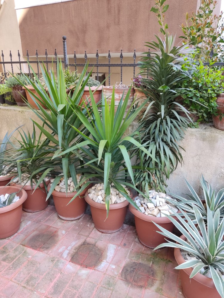 WhatsApp Image 2026-04-12 at 17.30.50 (1).jpeg