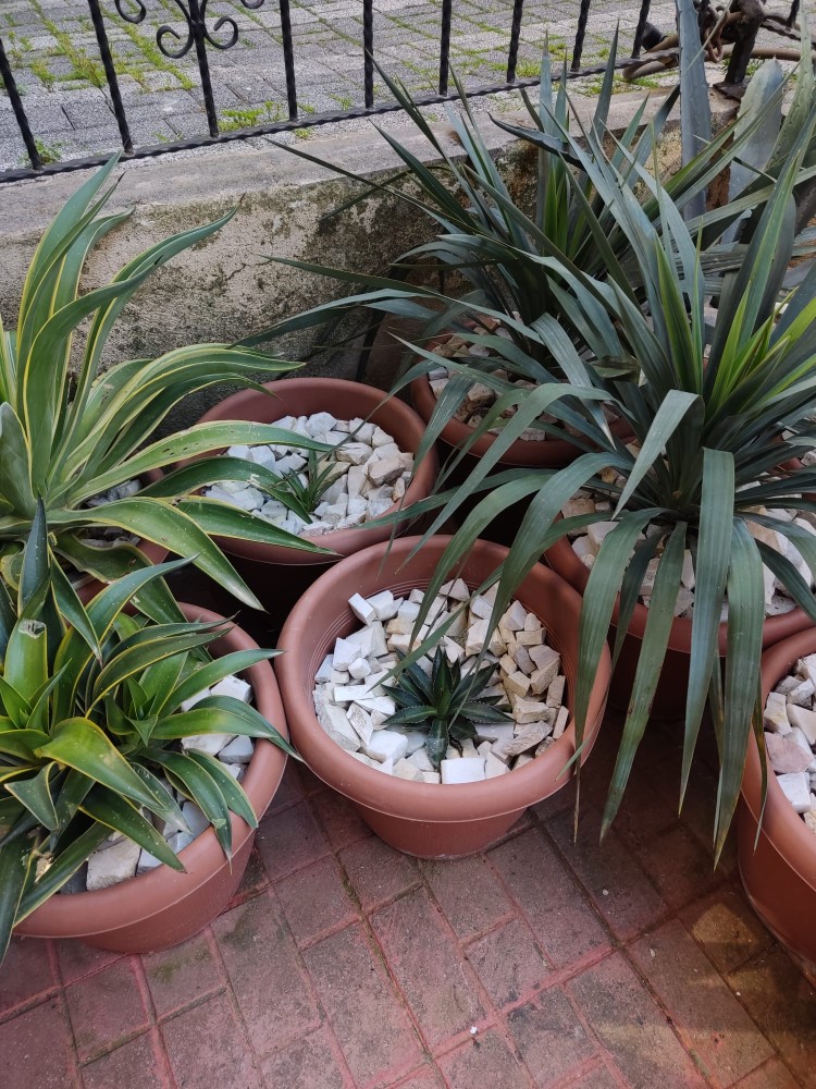 WhatsApp Image 2026-04-12 at 17.30.50.jpeg