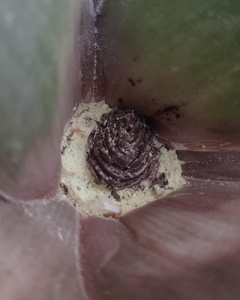 WhatsApp Image 2026-04-15 at 21.58.36.jpeg