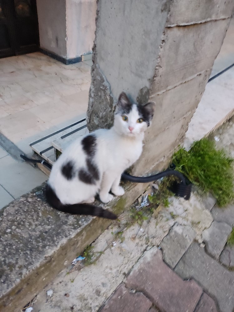 WhatsApp Image 2026-04-15 at 21.58.36 (2).jpeg