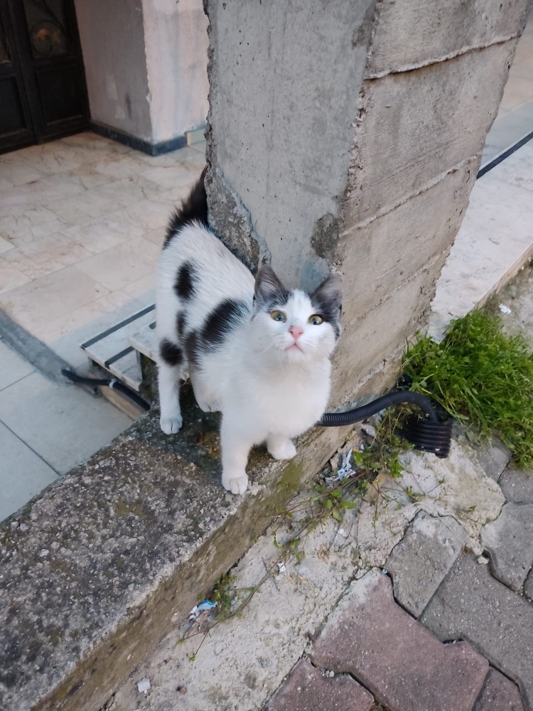 WhatsApp Image 2026-04-15 at 21.58.37.jpeg