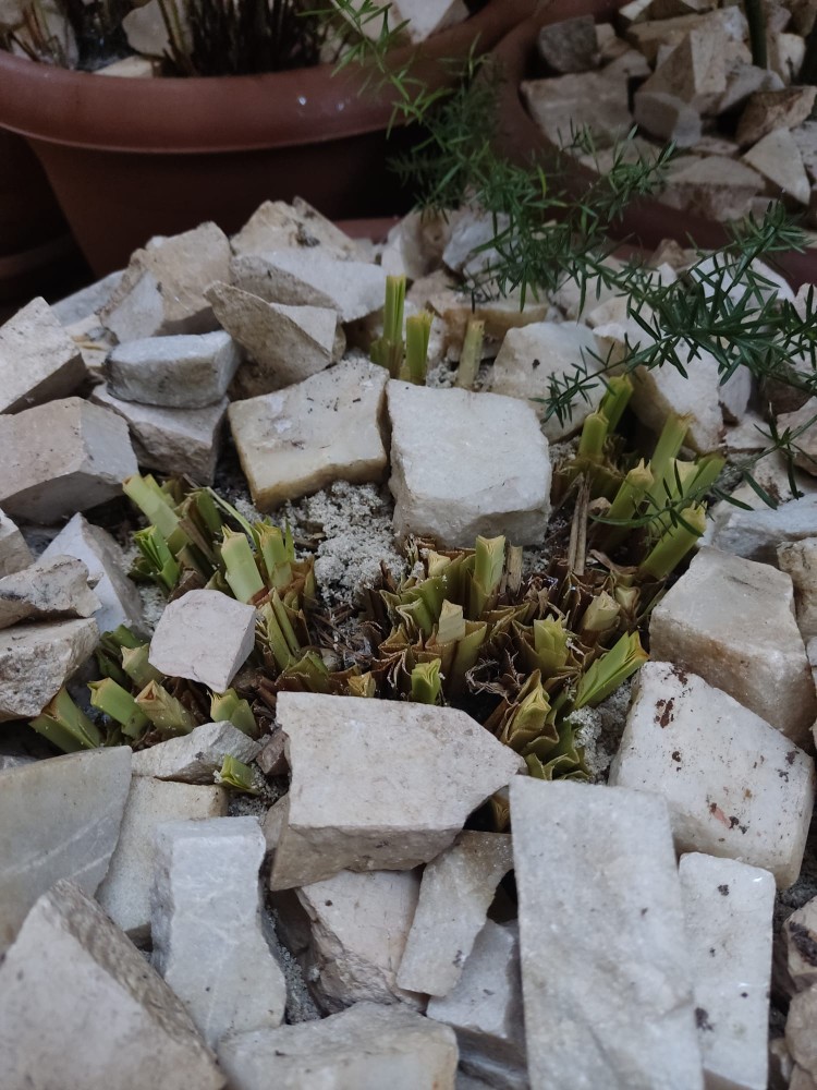 WhatsApp Image 2026-04-15 at 21.58.36 (1).jpeg