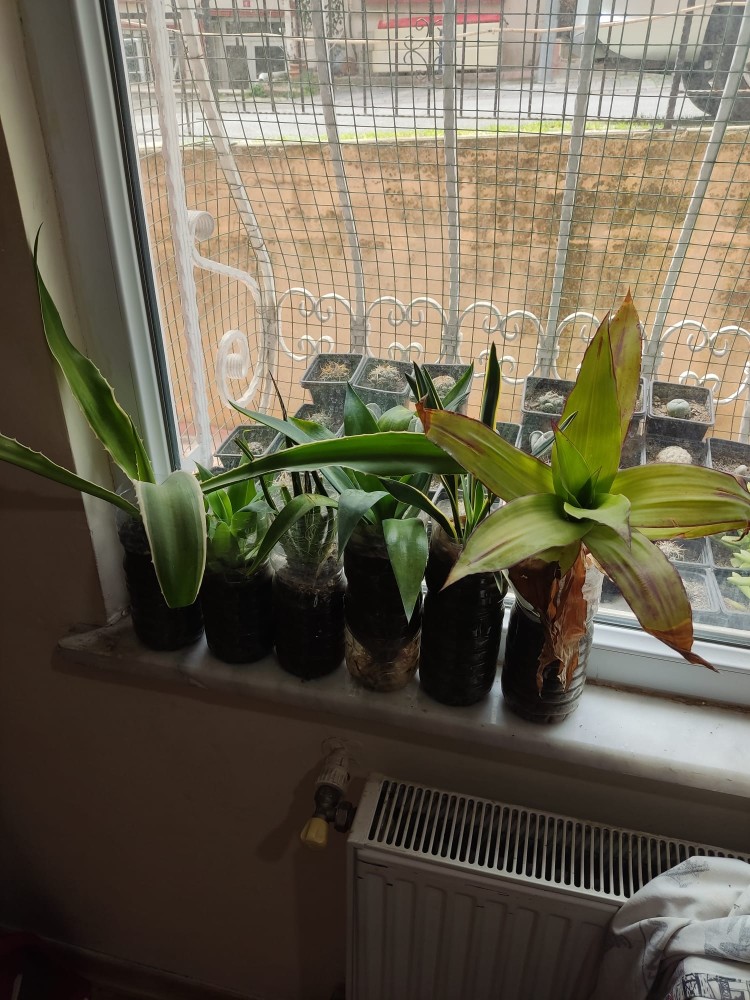 WhatsApp Image 2026-04-18 at 17.31.21 (2).jpeg