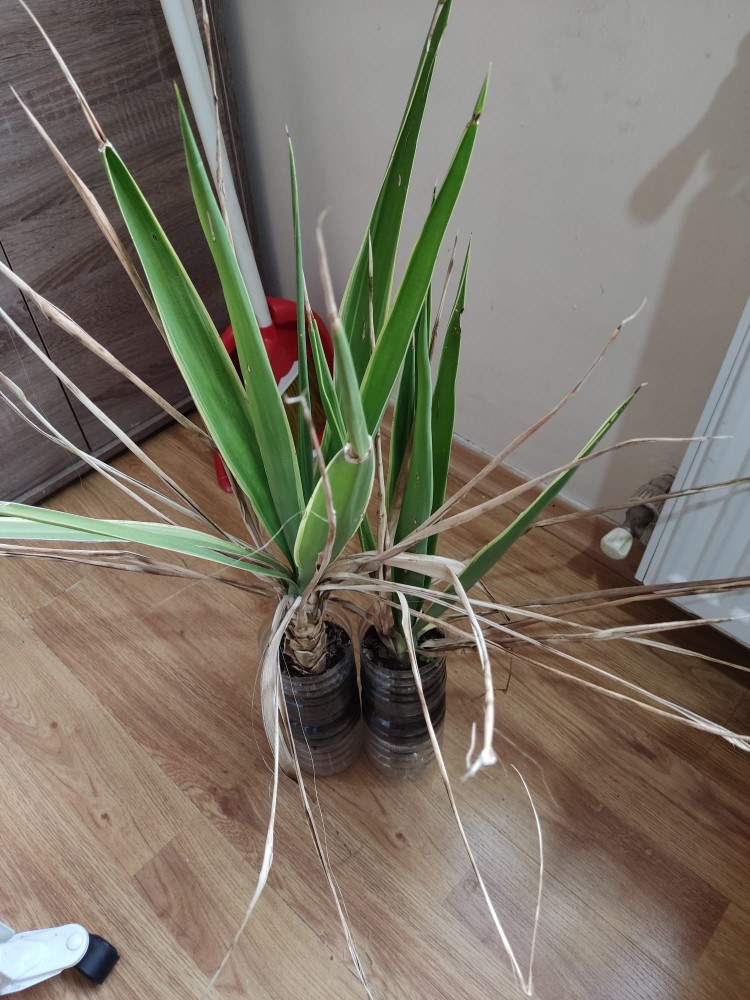 WhatsApp Image 2026-04-18 at 17.31.20 (2).jpeg