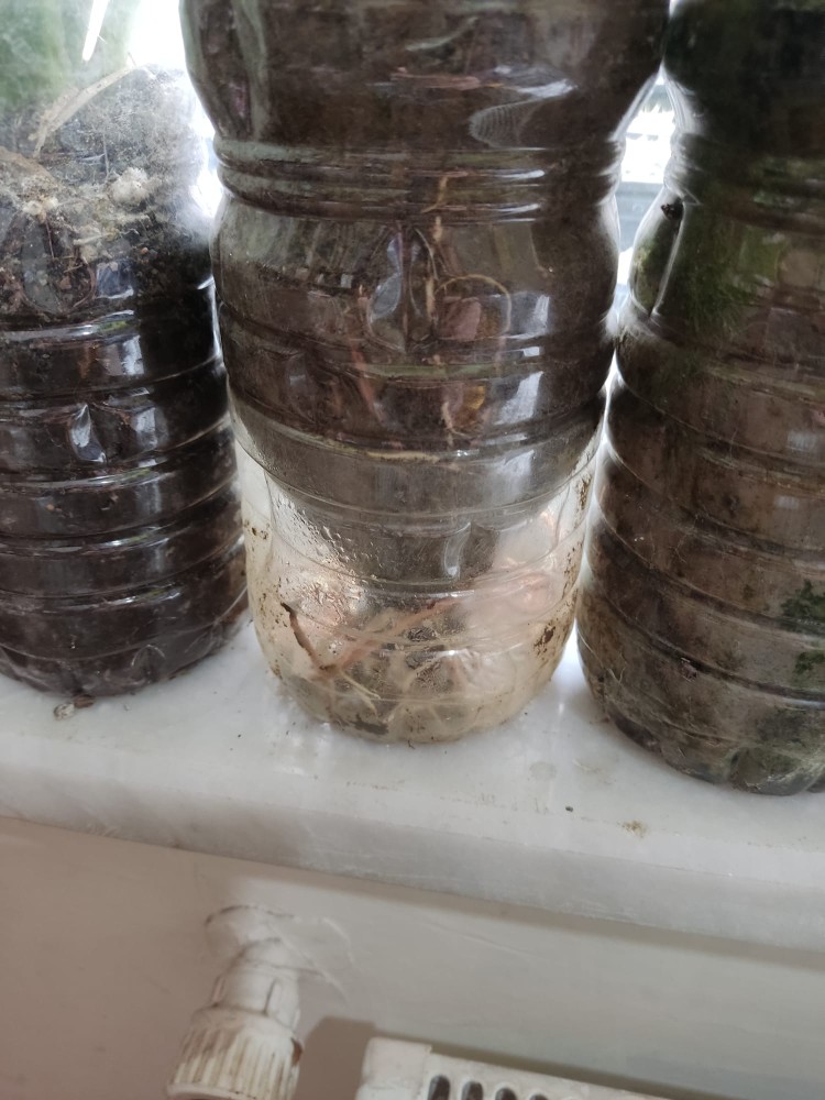 WhatsApp Image 2026-04-18 at 17.31.21.jpeg