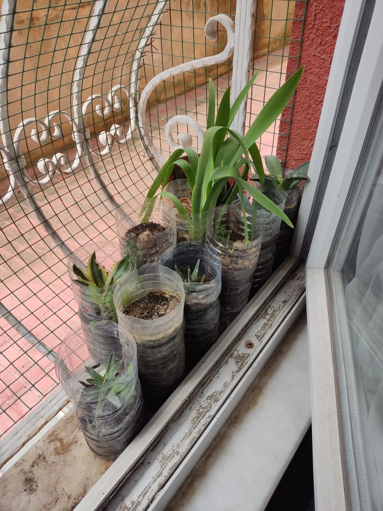 WhatsApp Image 2026-04-18 at 17.31.21 (1).jpeg