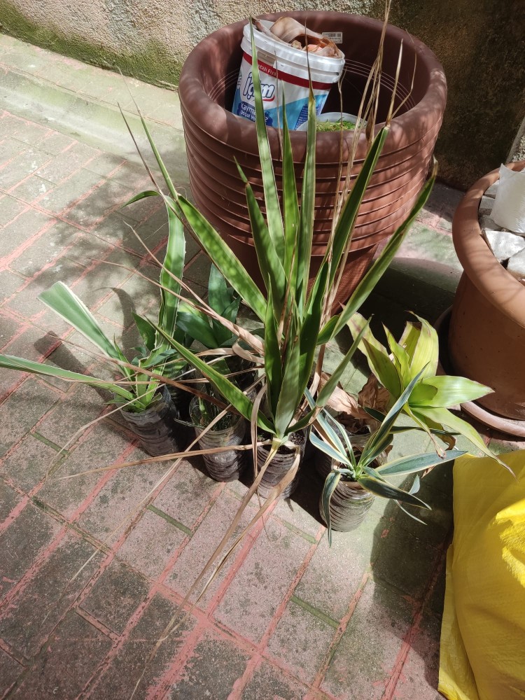 WhatsApp Image 2026-04-18 at 17.31.20 (1).jpeg