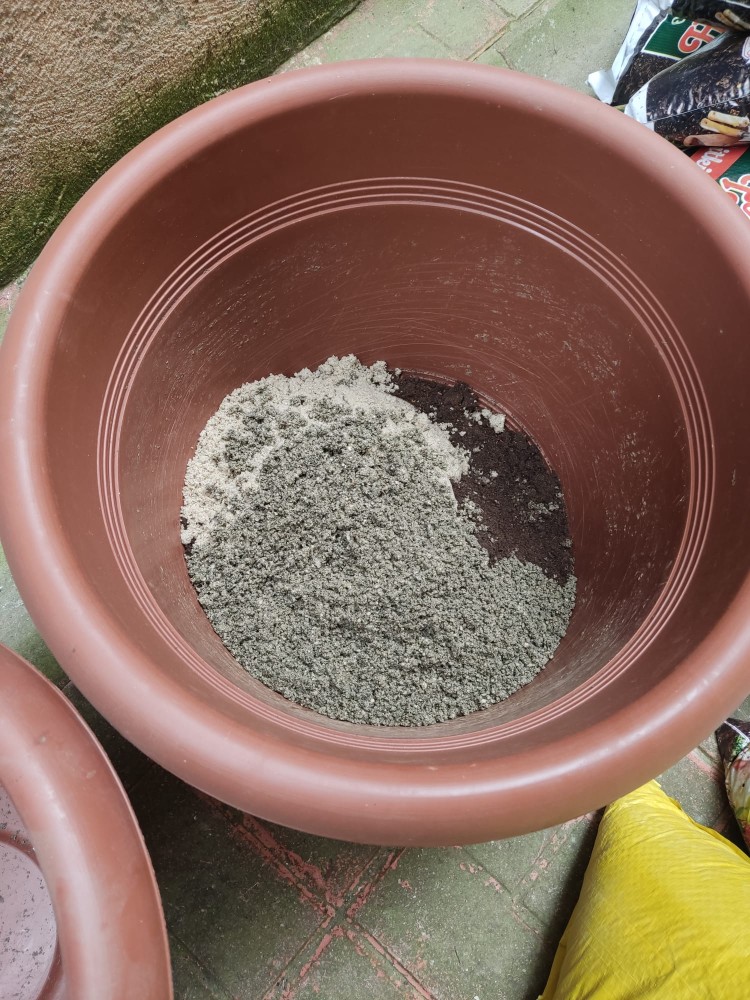 WhatsApp Image 2026-04-18 at 17.31.19 (3).jpeg