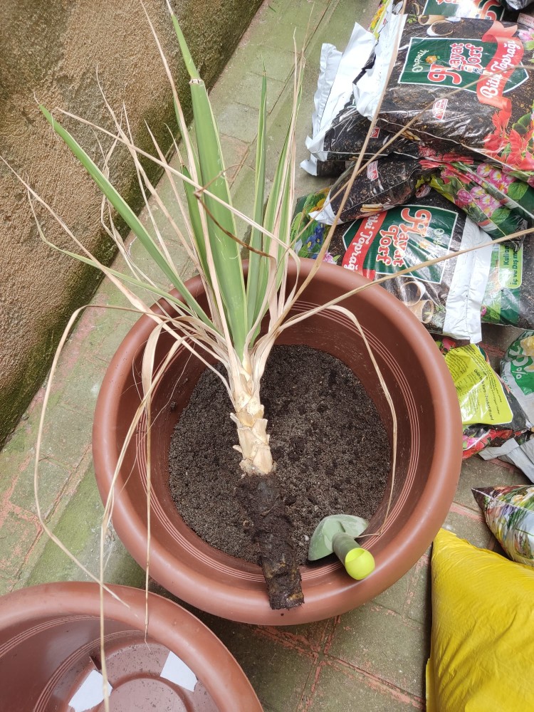 WhatsApp Image 2026-04-18 at 17.31.19 (2).jpeg