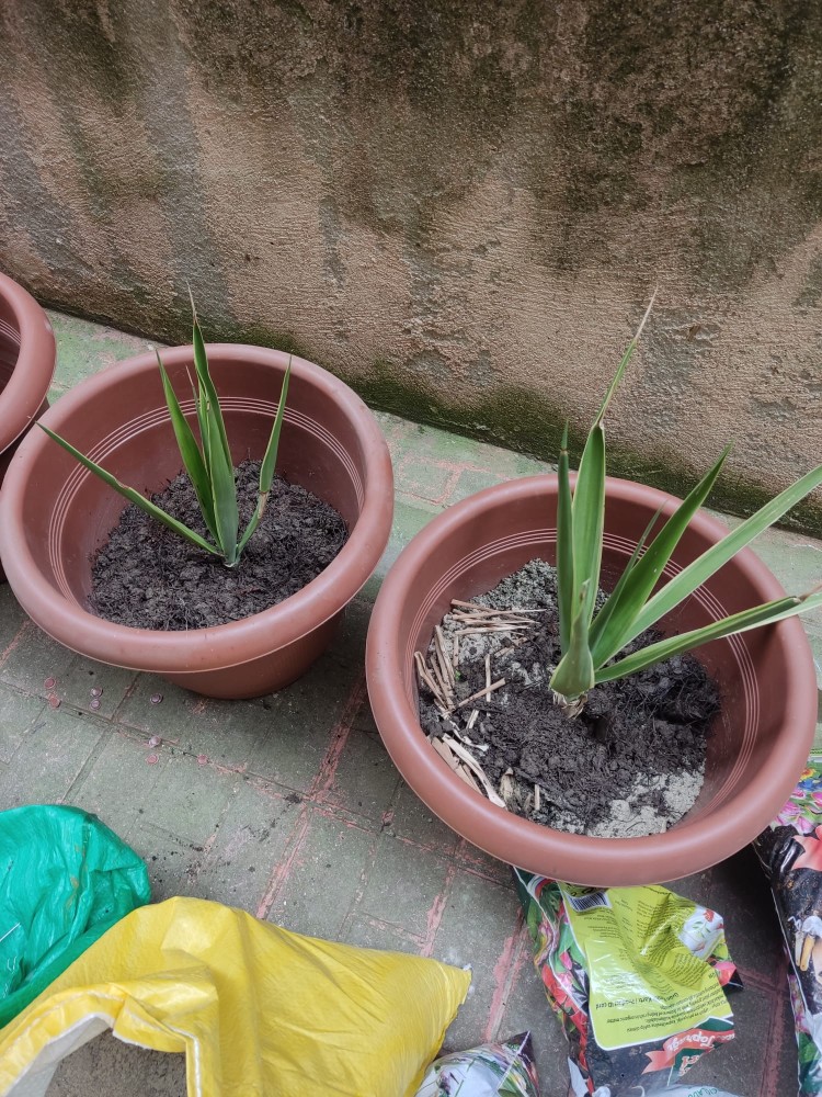 WhatsApp Image 2026-04-18 at 17.31.19.jpeg