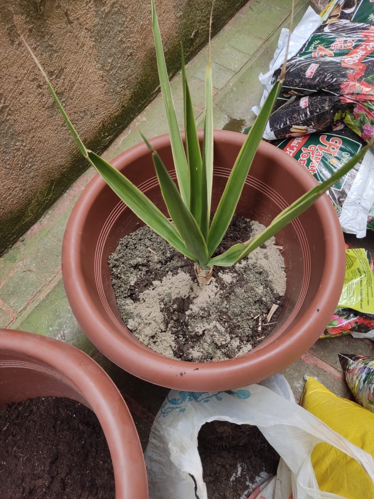 WhatsApp Image 2026-04-18 at 17.31.19 (1).jpeg