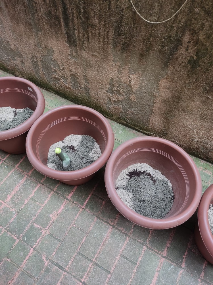 WhatsApp Image 2026-04-18 at 17.31.18 (3).jpeg