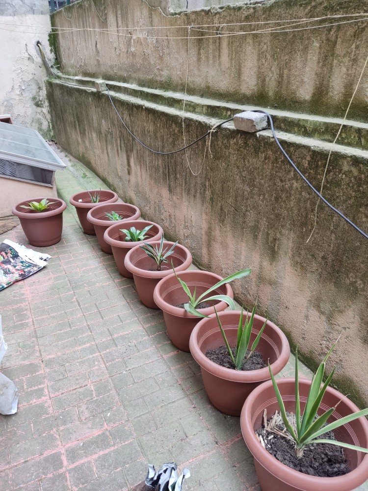 WhatsApp Image 2026-04-18 at 17.31.18.jpeg