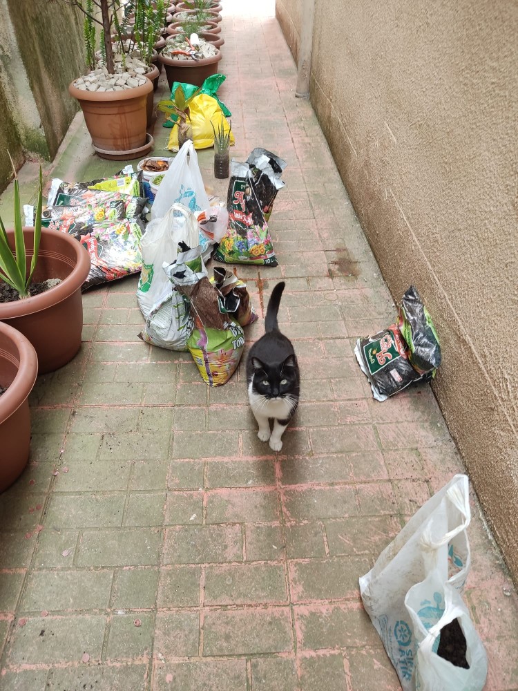 WhatsApp Image 2026-04-18 at 17.31.18 (2).jpeg