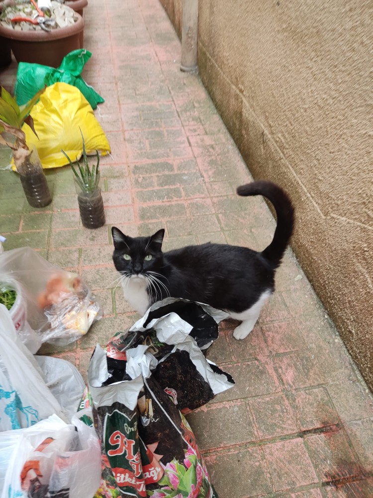 WhatsApp Image 2026-04-18 at 17.31.18 (1).jpeg