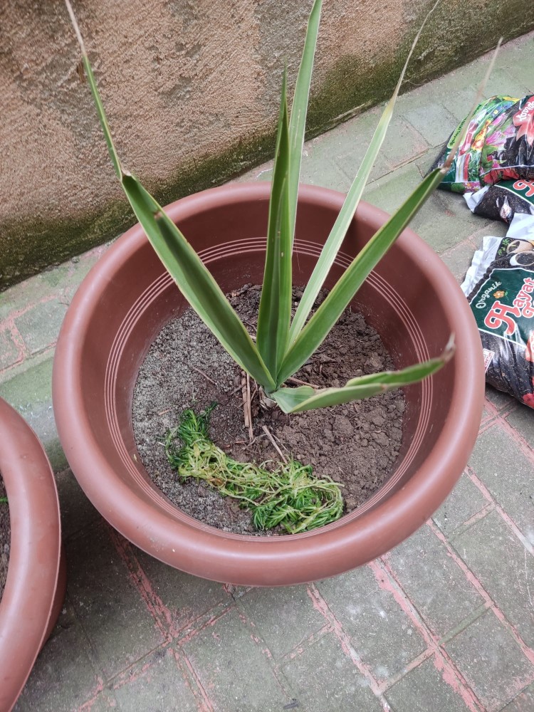 WhatsApp Image 2026-04-18 at 17.31.17.jpeg