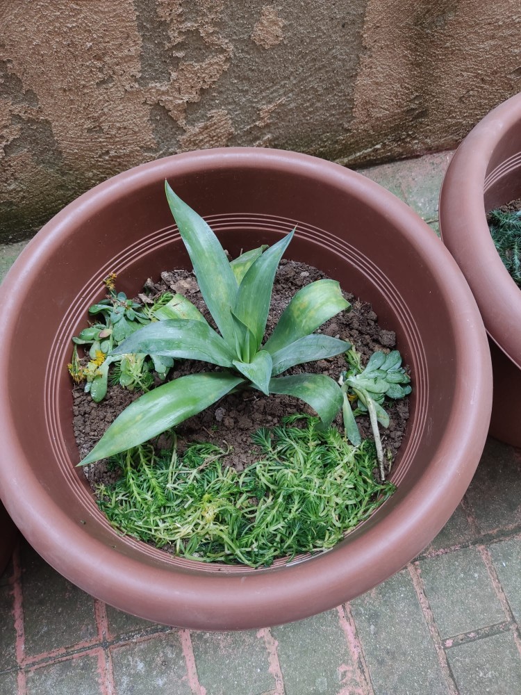 WhatsApp Image 2026-04-18 at 17.31.17 (1).jpeg