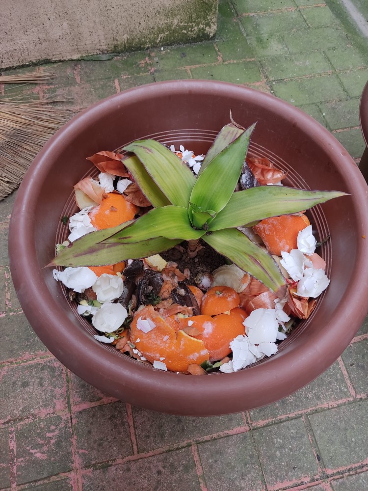 WhatsApp Image 2026-04-18 at 17.31.16 (3).jpeg