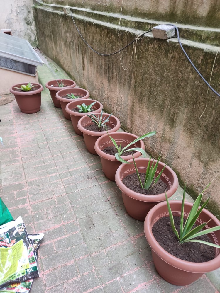 WhatsApp Image 2026-04-18 at 17.31.16 (2).jpeg