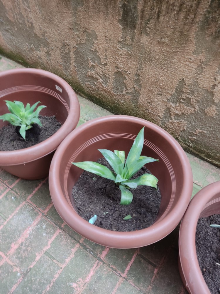 WhatsApp Image 2026-04-18 at 17.31.17 (3).jpeg