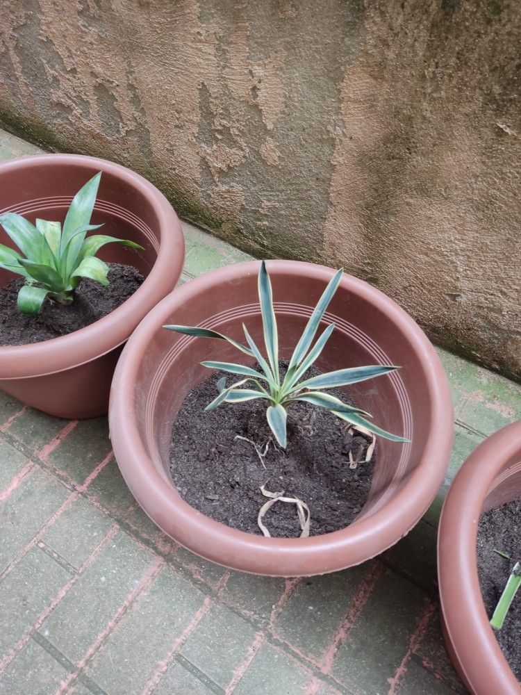 WhatsApp Image 2026-04-18 at 17.31.17 (4).jpeg