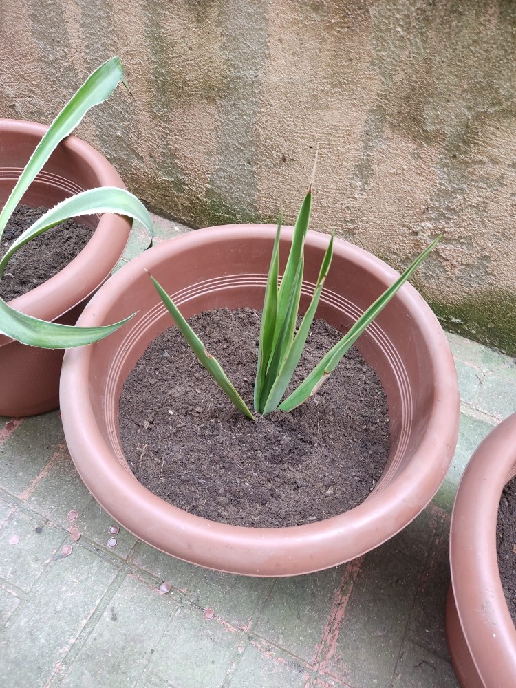 WhatsApp Image 2026-04-18 at 17.31.16.jpeg