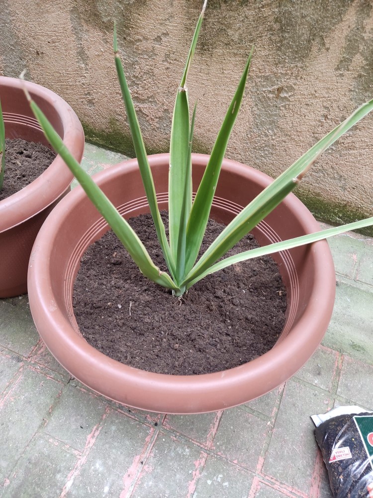 WhatsApp Image 2026-04-18 at 17.31.16 (1).jpeg