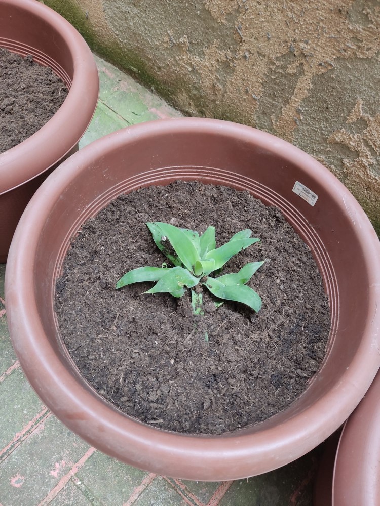 WhatsApp Image 2026-04-18 at 17.31.15.jpeg