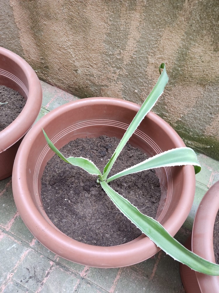 WhatsApp Image 2026-04-18 at 17.31.15 (3).jpeg