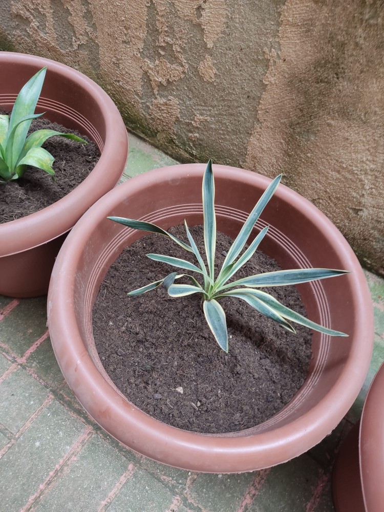 WhatsApp Image 2026-04-18 at 17.31.15 (2).jpeg